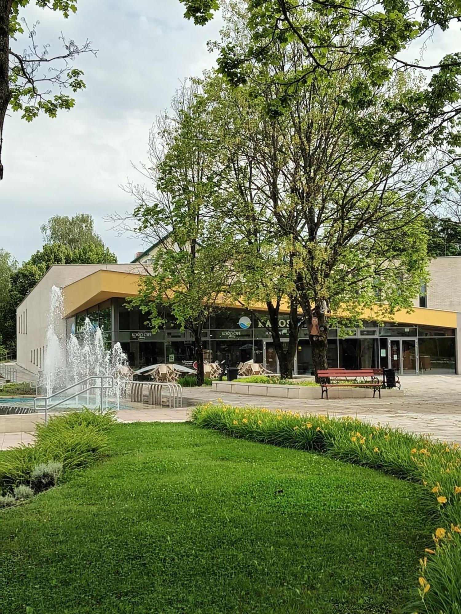 Viola Wellness Apartman Διαμέρισμα Zalakaros Εξωτερικό φωτογραφία